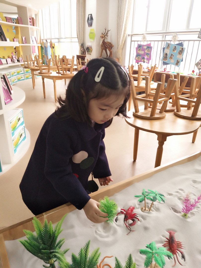 IMG_20181130_082026.jpg