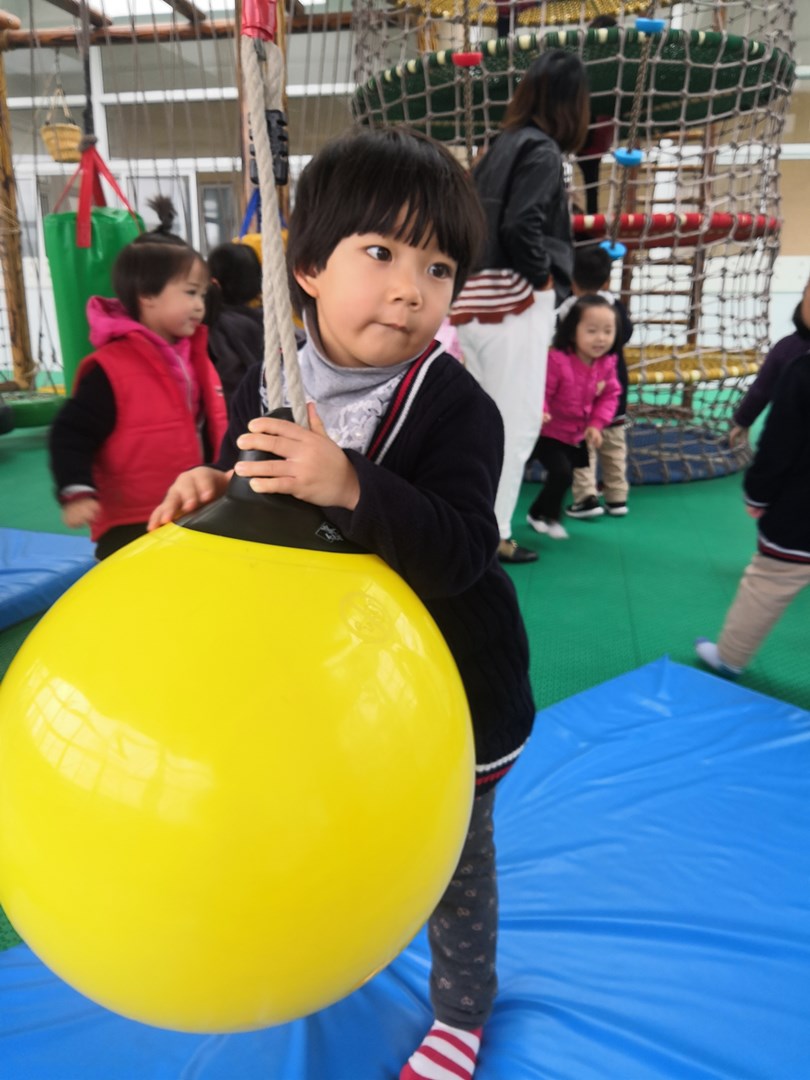 IMG_20181203_092503.jpg