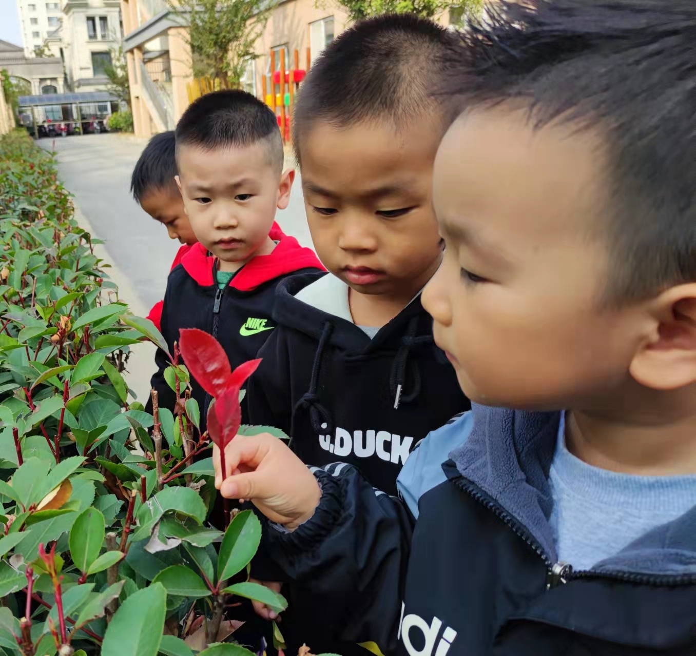微信图片_20211103132151