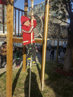 IMG_20211125_084303