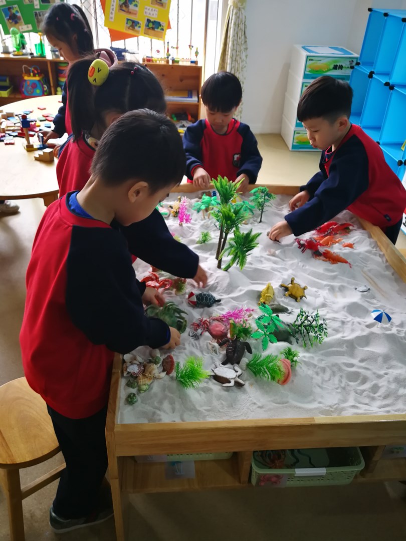IMG_20181121_093506.jpg